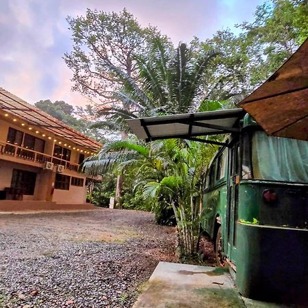 Cool Waters Jungle Villas Uvita Exterior foto