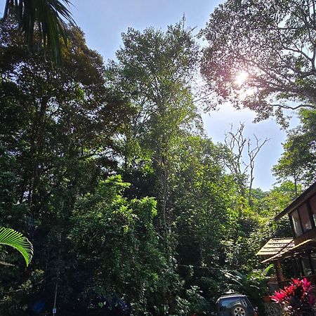 Cool Waters Jungle Villas Uvita Exterior foto