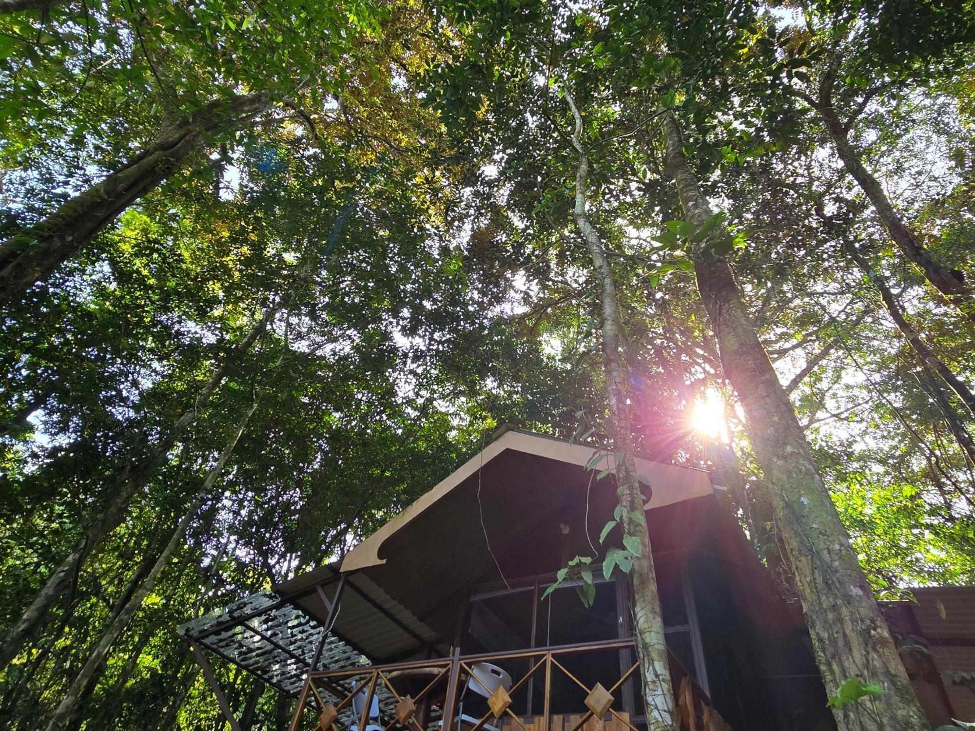Cool Waters Jungle Villas Uvita Exterior foto